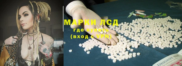 spice Козловка