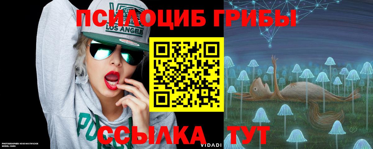 Галлюциногенные грибы ЛСД Соль-Илецк
