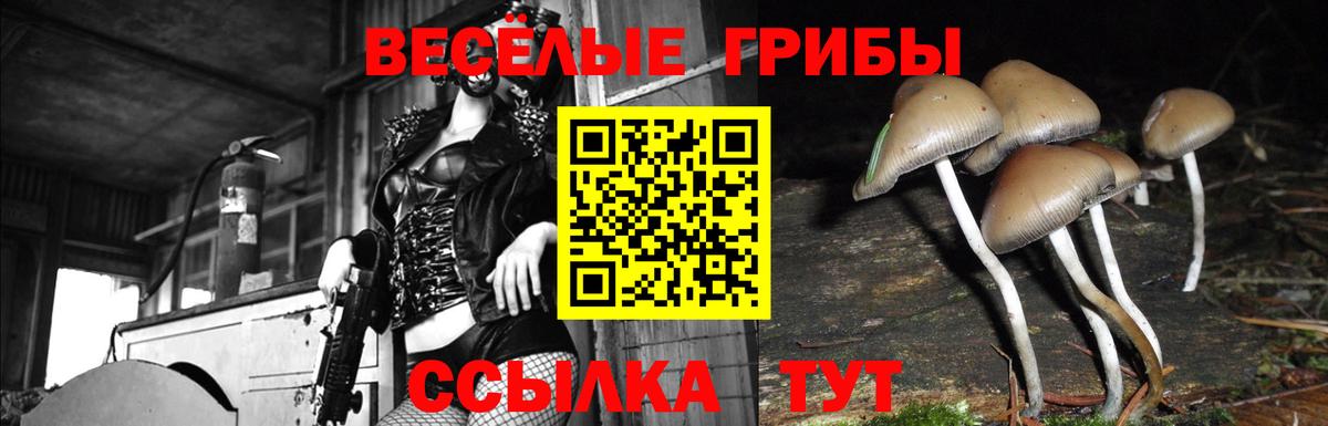 Псилоцибиновые грибы Psilocybe  Псилоцибиновые грибы Psilocybine cubensis  Соль-Илецк  Вход с VPN 